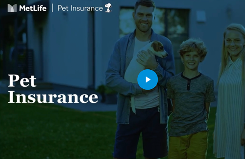 pet insurance video